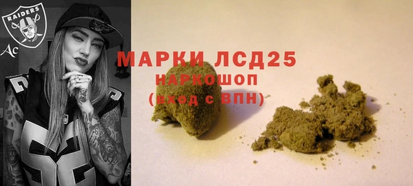 твердый Каменск-Шахтинский