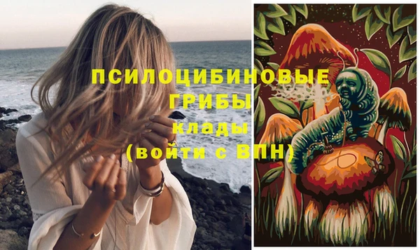 твердый Каменск-Шахтинский