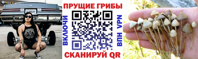 Галлюциногенные грибы ЛСД  Сургут 