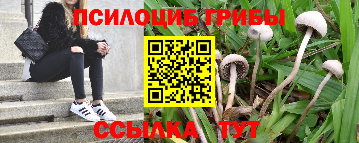 Сургут  Альфа ПВП СК кристаллы  Мефедрон   МЕТАМФЕТАМИН  ГАШ  Вход с VPN  ГАШИШ  КОКАИН  Марихуана 