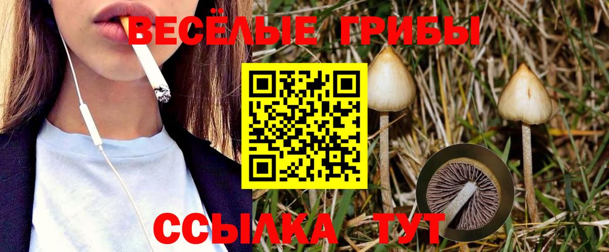 наркотики  Вход с VPN  Сургут  Галлюциногенные грибы Magic Shrooms  Галлюциногенные грибы MAGIC MUSHROOMS 