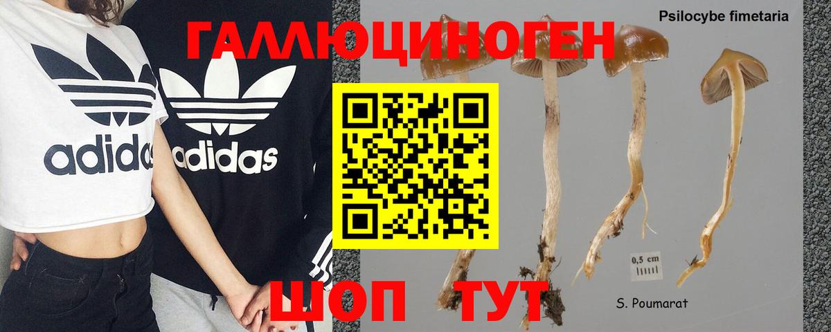 Псилоцибиновые грибы мицелий Сургут